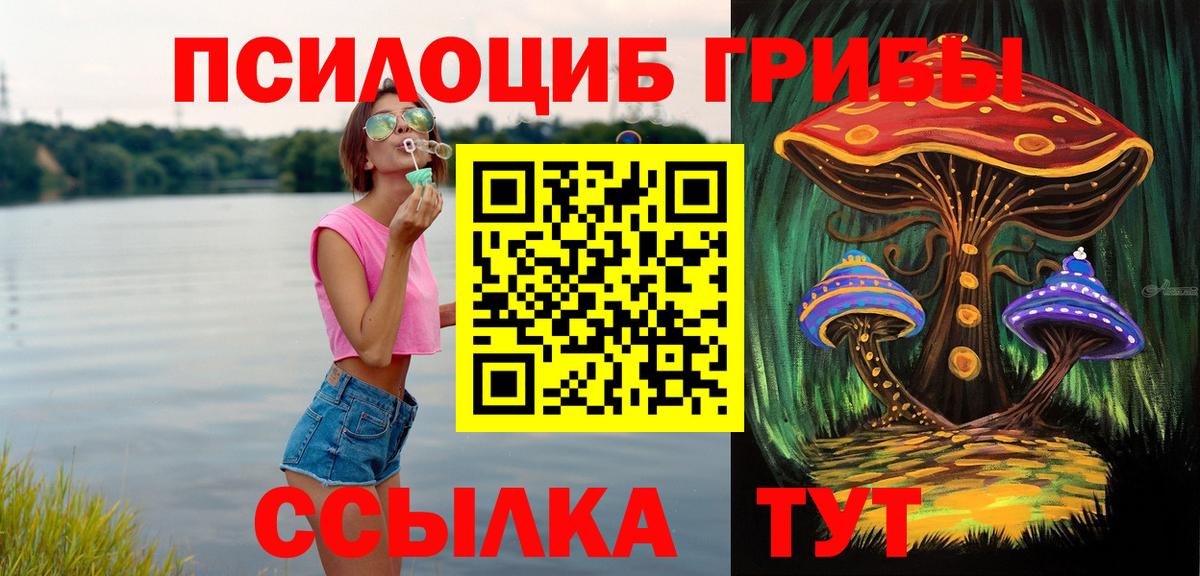Псилоцибиновые грибы GOLDEN TEACHER  Вход с VPN  хочу   Чехов 